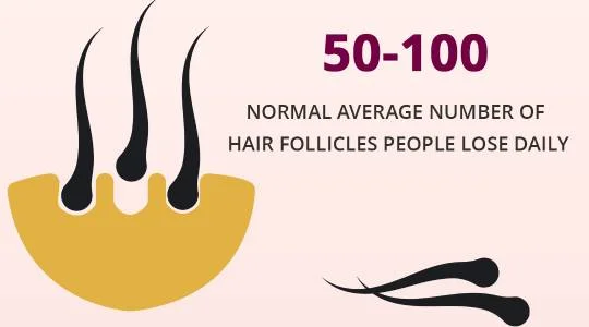 50-100 Normal average number of hair follicles people lose daily.